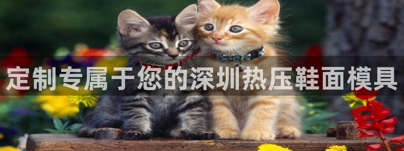 emc易赔