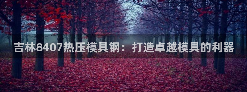 易倍达怎么样
