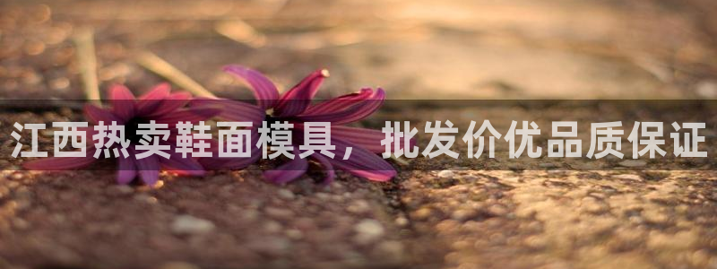 上海易倍投资有限公司