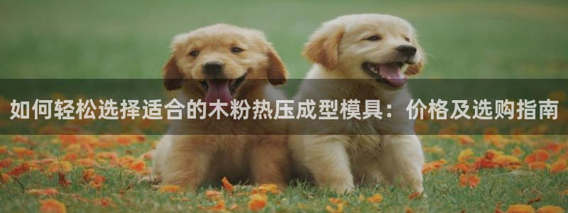 emc易倍官网首页：如何轻松选择适合的木粉热压成型模具：