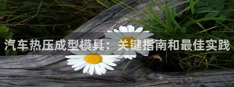 易倍思教育