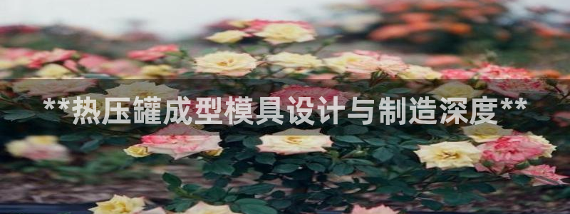易倍申每盒价格是多少?