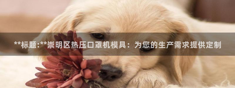 易倍纤使用方法：**标题:**崇明区热压口罩机模具：为您