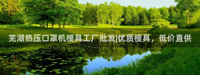 易倍app官网下载安装：芜湖热压口罩机模具工厂批发|优质