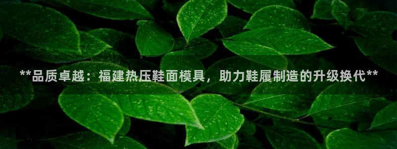 易倍达科技有限公司代运营：**品质卓越：福建热压鞋面模具