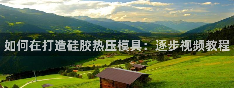 易倍申效果怎么样：如何在打造硅胶热压模具：逐步视频教程