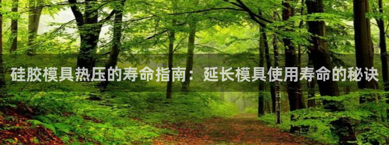 emc易倍下载：硅胶模具热压的寿命指南：延长模具使用寿命