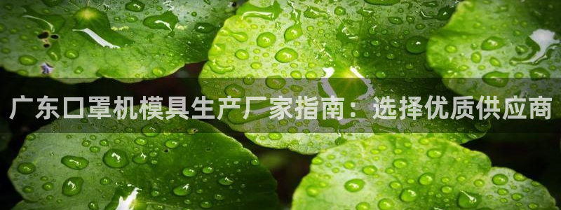 易倍达科技有限公司招聘