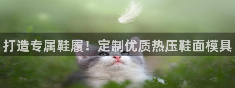易倍纤减肥价格