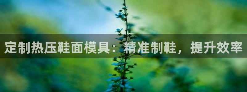易倍电竞,有球必应