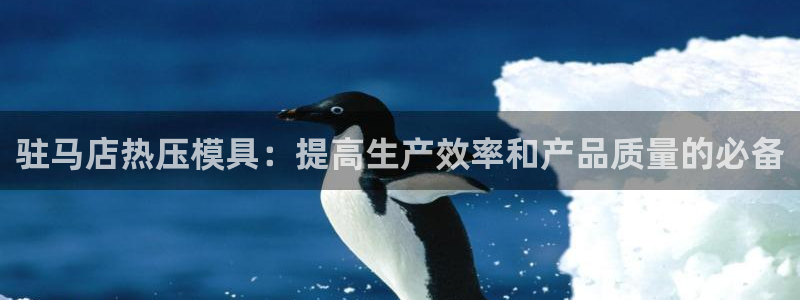 上海易倍投资有限公司：驻马店热压模具：提高生产效率和产品