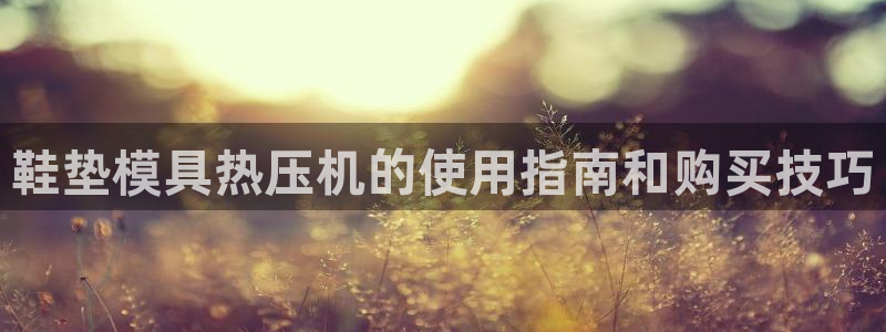 易倍单词app官网