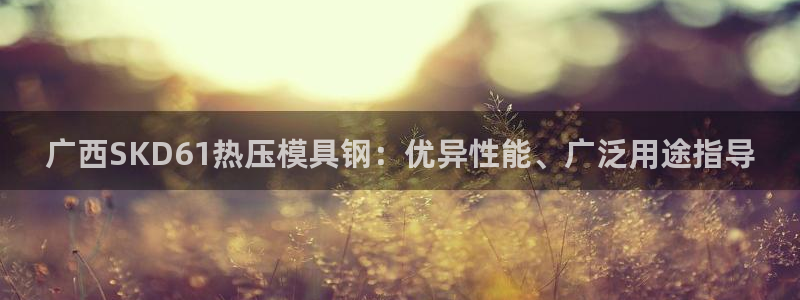 易倍网络技术有限公司是干嘛的