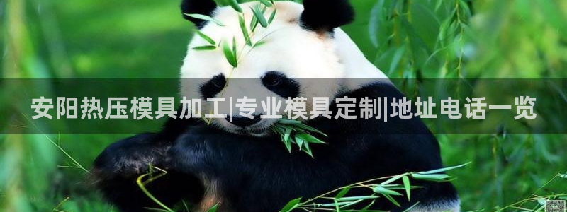 易倍纤能减肥吗：安阳热压模具加工|专业模具定制|地址电话