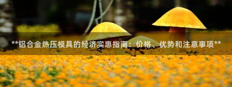 易倍康简历：**铝合金热压模具的经济实惠指南：价格、优势