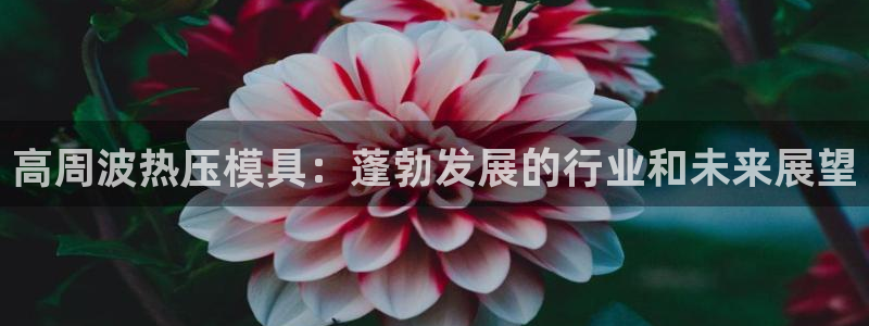 易倍纤怎么使用：高周波热压模具：蓬勃发展的行业和未来展望