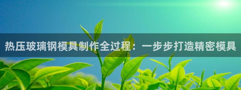 emc 倍频