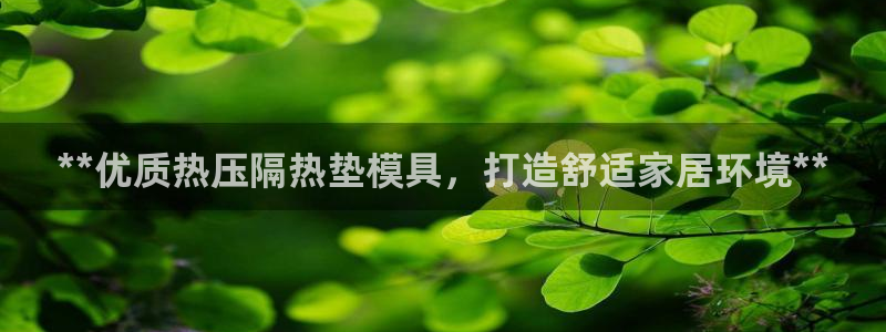 emc易倍首存500送球衣：**优质热压隔热垫模具，打造