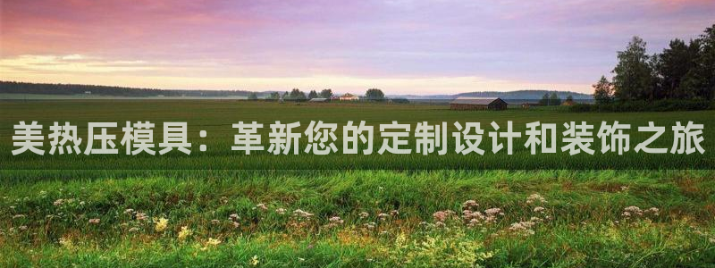 emc mcu：美热压模具：革新您的定制设计和装饰之旅