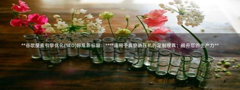 南京易倍易电子科技有限公司：**谷歌搜索引擎优化(SEO