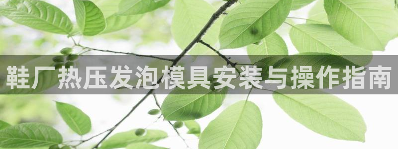 易倍纤奶昔减肥效果怎么样
