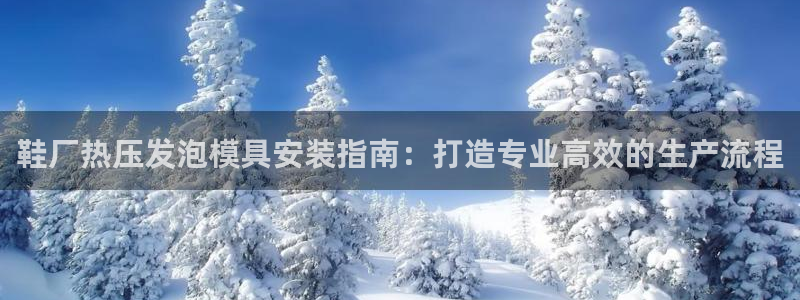 易倍申效果怎么样：鞋厂热压发泡模具安装指南：打造专业高效