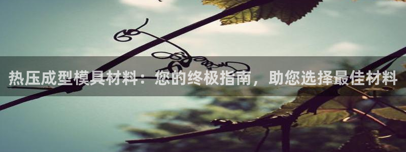 易倍达怎么样：热压成型模具材料：您的终极指南，助您选择最