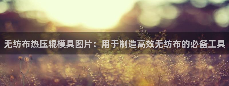 易倍申片能长期服用吗：无纺布热压辊模具图片：用于制造高效