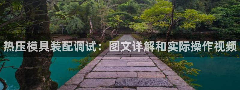 易倍纤酵素效果好吗