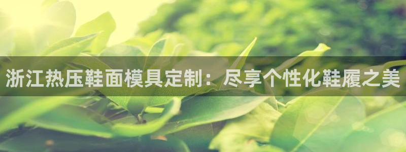 南京易倍易电子科技有限公司：浙江热压鞋面模具定制：尽享个
