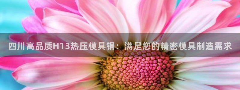 易倍申厂家