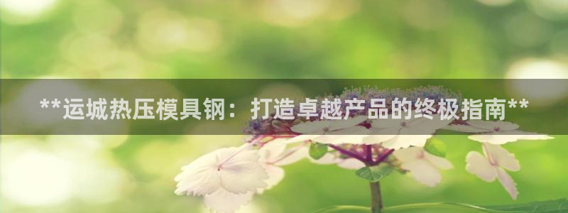 emc低频：**运城热压模具钢：打造卓越产品的终极指南*