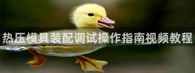 易倍企业管理软件