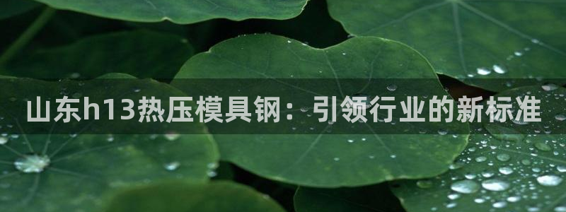 emc易倍出空款