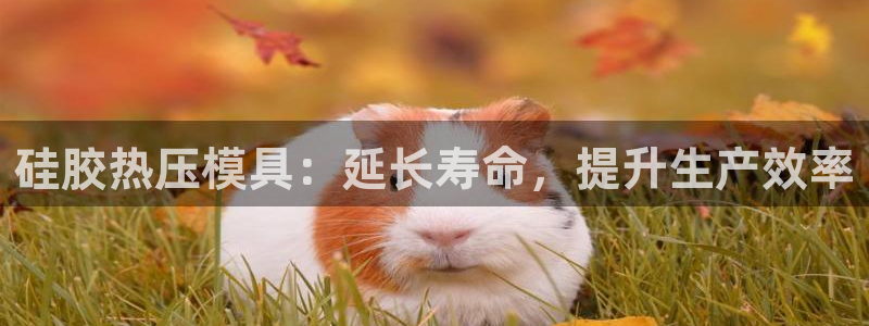 emc全站ag