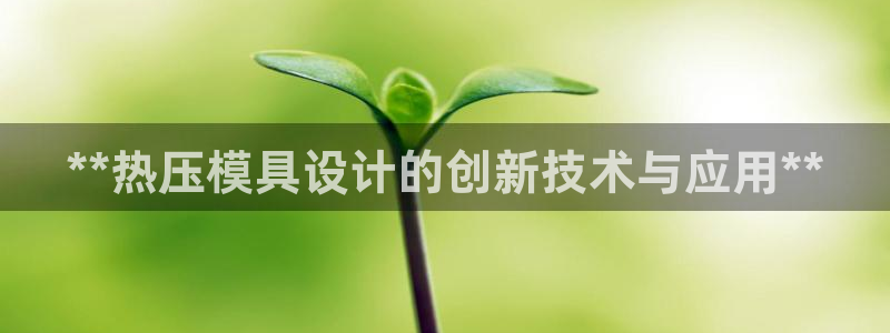 易倍申每盒价格是多少?：**热压模具设计的创新技术与应用