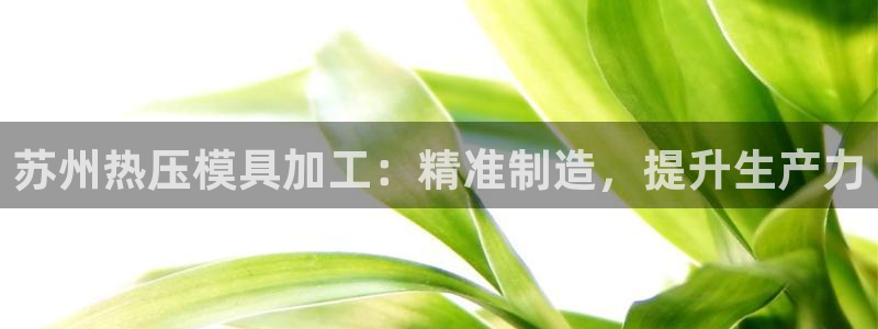 易倍申有用吗：苏州热压模具加工：精准制造，提升生产力