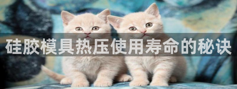 emc易倍全站：硅胶模具热压使用寿命的秘诀