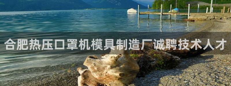易倍网络技术有限公司怎么样：合肥热压口罩机模具制造厂诚聘