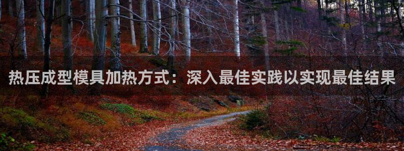 易倍达科技有限公司招聘：热压成型模具加热方式：深入最佳实