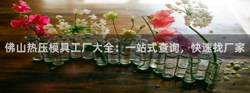 emc易倍ios官网