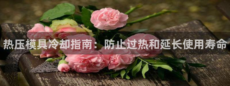 易倍单词软件