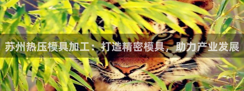 低频的emc用什么滤波