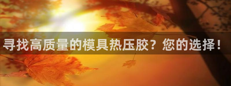易倍单词app官网：寻找高质量的模具热压胶？您的选择！