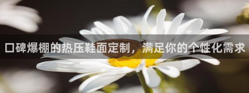 emc网页版