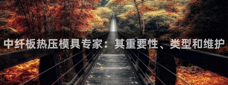 emc全站下载：中纤板热压模具专家：其重要性、类型和维护