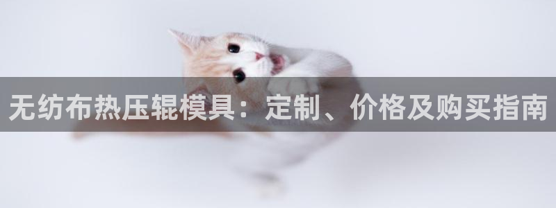 易倍下载手机版