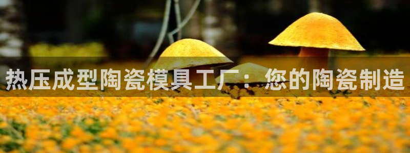 易倍纤价格