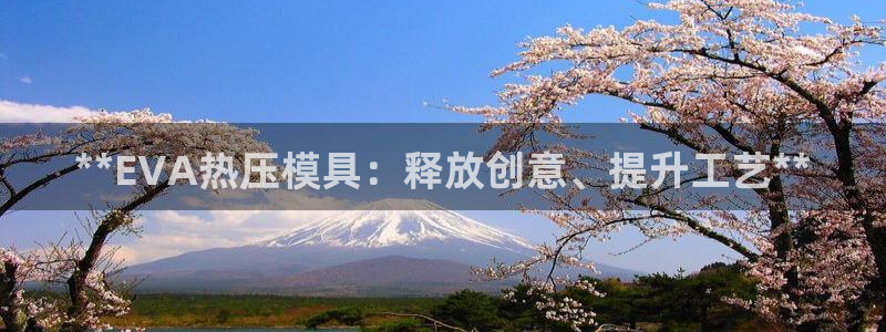 易倍app网站：**EVA热压模具：释放创意、提升工艺*