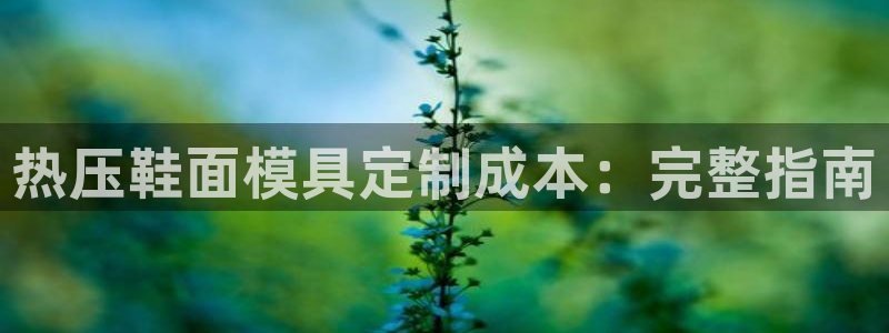 易倍纤减肥价格：热压鞋面模具定制成本：完整指南